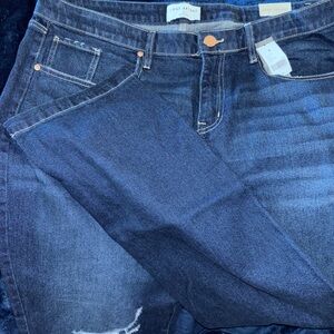 Lane Bryant Signature fit jeans!